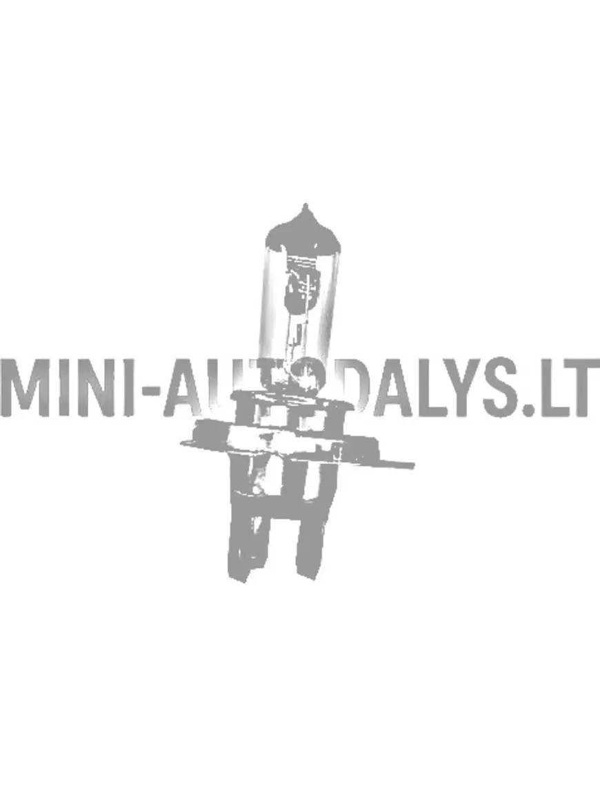 H4 spuldze Mikroautobuss / JDM / Ligier / Bellier / Chatenet