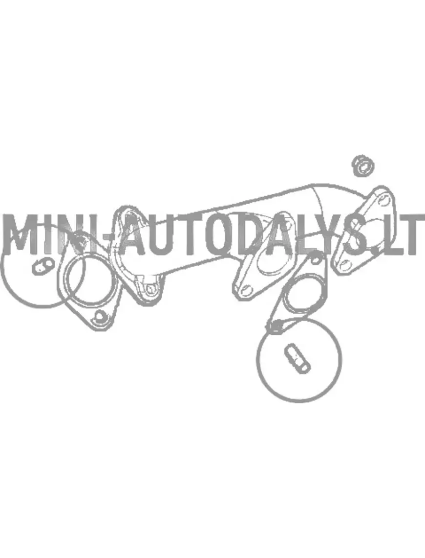 Izplūdes kolektora tapa Lombardini DCI