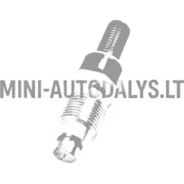 Aixam Kubota Z402 / Z482 inžektors