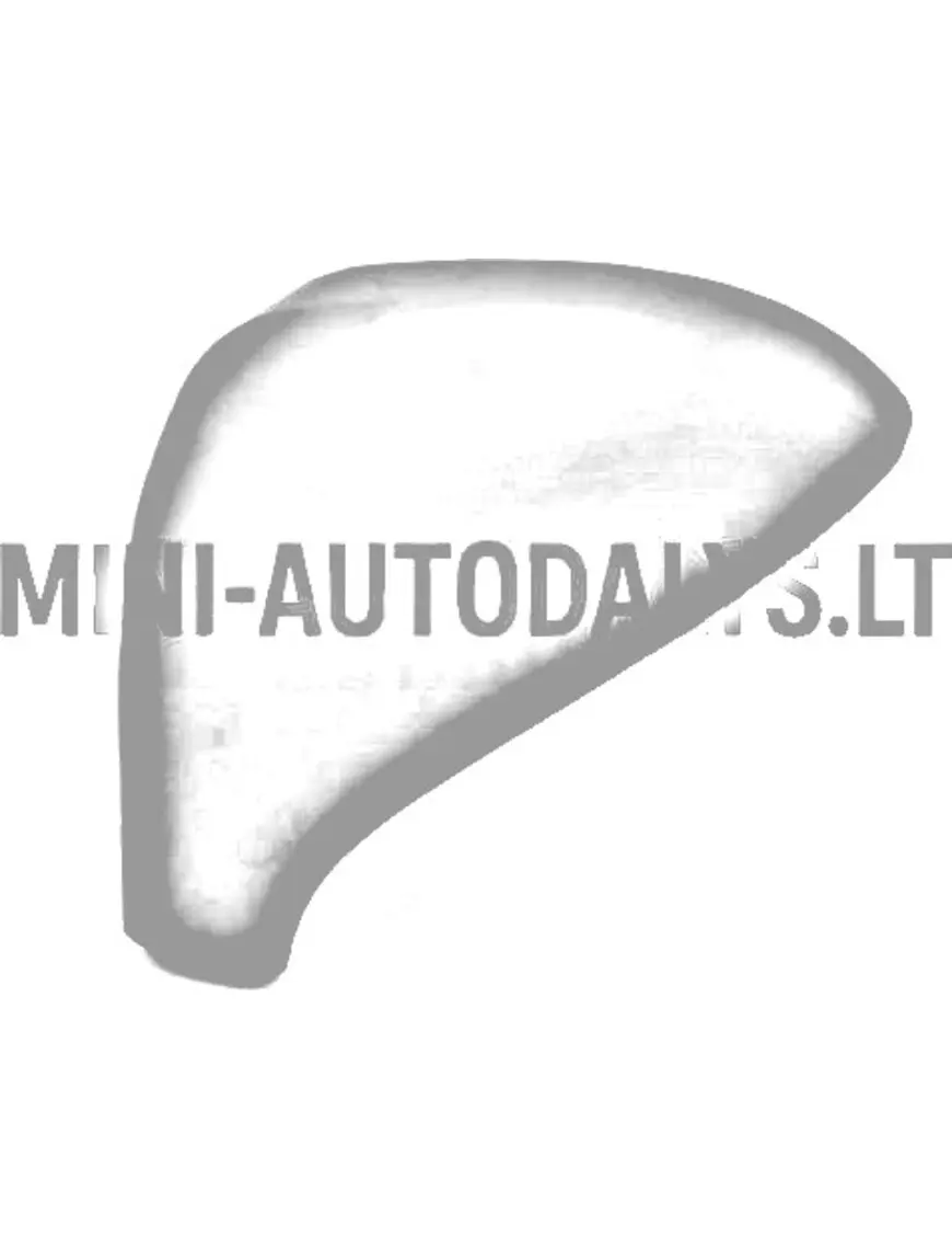 Spoguļa pārsegs Kreisās puses ārējais spogulis JDM Aloes / Roxsy