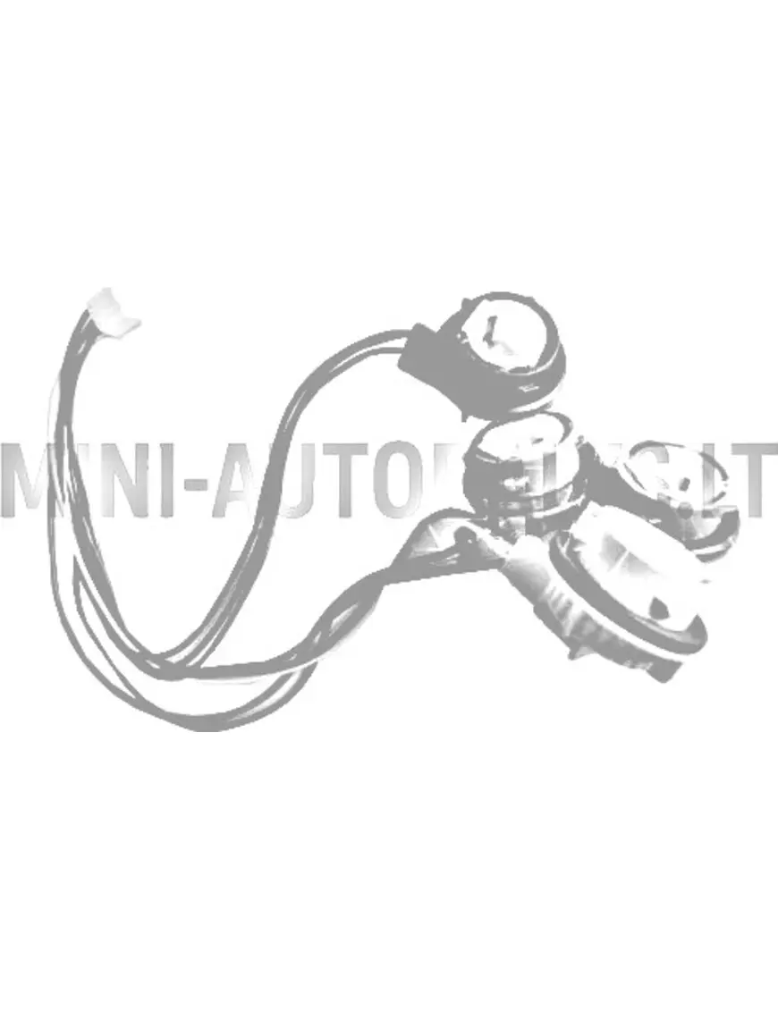 Aizmugurējā luktura vadi Aixam Impulsion / Vision