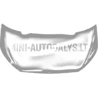 Aixam Sensation dzinēja pārsega ārējā plāksne (tērauda pelēka)