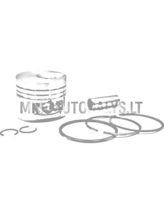 Virzuļu komplekts Lombardini 502 (STD)