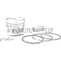 Virzuļu komplekts Lombardini 502 (STD)