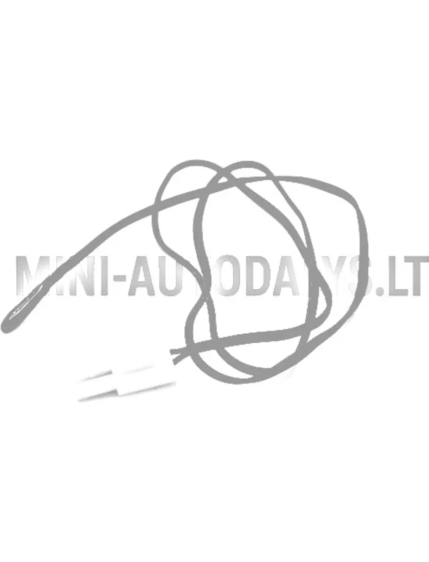 Āra temperatūras sensors "Aixam