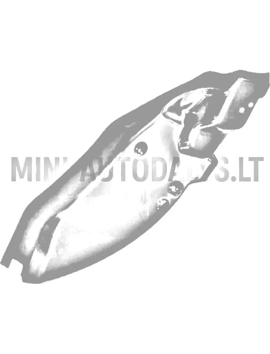 Iekšējais priekšējais kreisās puses spārns Aixam Ambition