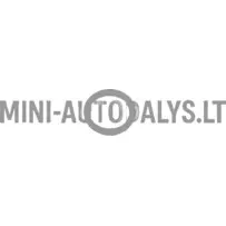 Eļļas sūknis ar blīvgredzenu - caurule Lombardini 502 FOCS / Progress