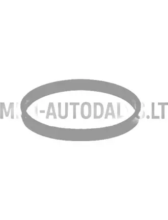 Termostata blīve Lombardini 442 / 480 / 492 DCI