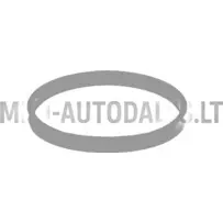 Termostata blīve Lombardini 442 / 480 / 492 DCI