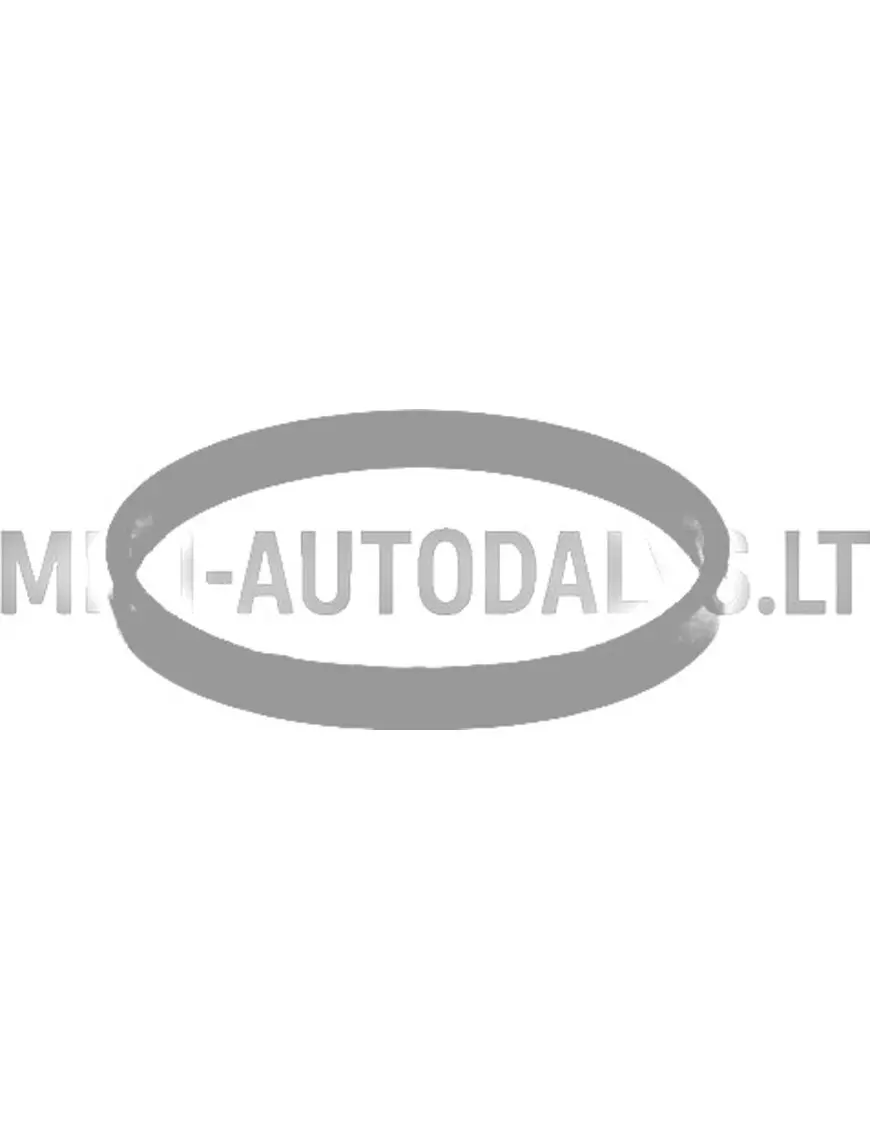 Termostata blīve Lombardini 442 / 480 / 492 DCI