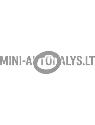 Lombardini 442 / 480 / 492 DCI O-Ring Eļļas mērstienis