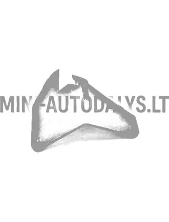 Motora pārsega eņģe priekšējā labā Aixam Ambition