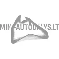 Motora pārsega eņģe priekšējā labā Aixam Ambition