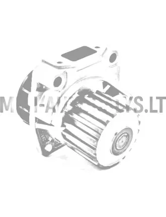 Ūdens sūknis Lombardini 502 Progress / FOCS