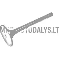 Ieplūdes vārsts Lombardini 502 FOCS / Progress