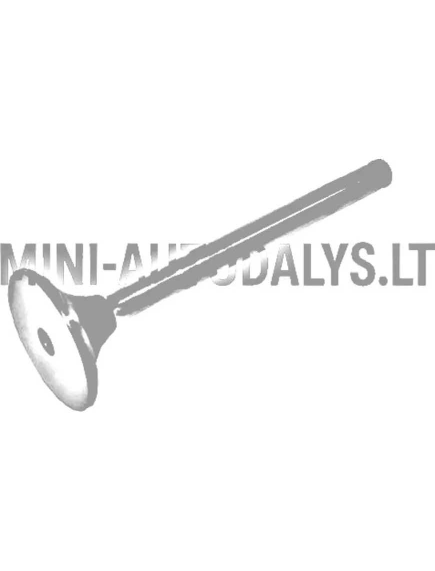 Izplūdes vārsts Lombardini 502 FOCS / Progress