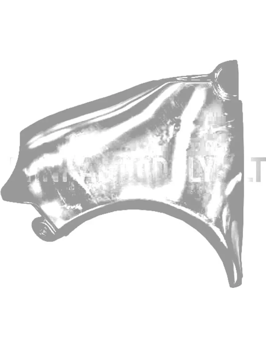 Aixam 500.4 kreisās puses priekšējais spārns | Mini Auto Parts