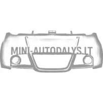 Priekšējais bamperis JDM Roxsy