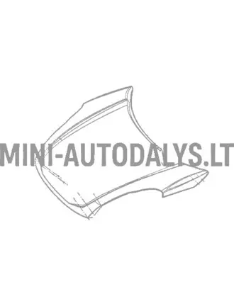 Dzinēja pārsegs Ligier JS50 / JS50L Ph1