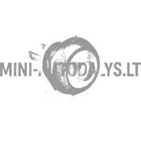 Aizmugurējo durvju slēdzenes slēdzis Aixam