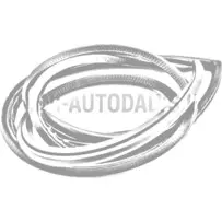 Aixam durvju blīvgumija