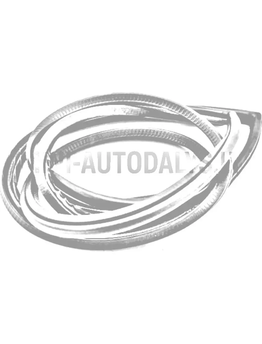 Aixam durvju blīvgumija