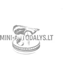 Virzulis + virzuļu gredzeni Yanmar dzinējs