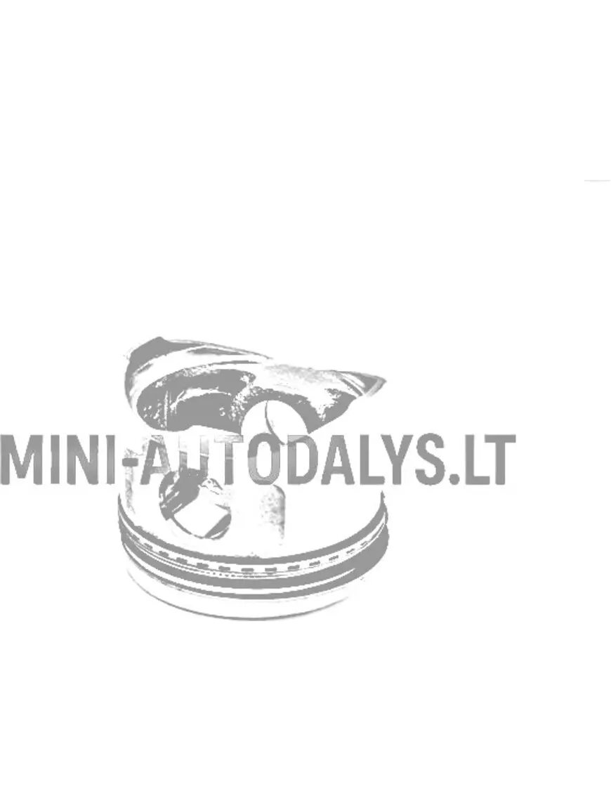 Virzulis + virzuļu gredzeni Yanmar dzinējs