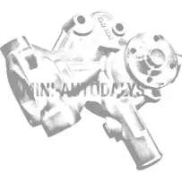 Ūdens sūknis "Yanmar