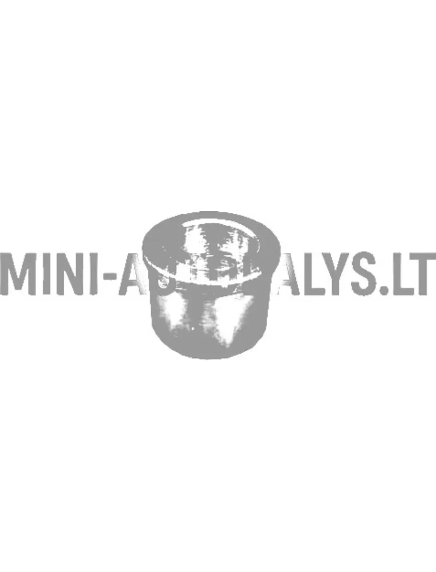 Variomatic pārnesumkārbas uzpildes uzmava Ligier