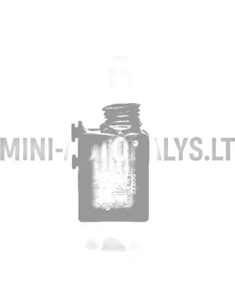 Durvju slēdzenes motors labās puses durvīm Chatenet