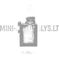 Durvju slēdzenes motors labās puses durvīm Chatenet