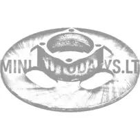 Priekšējais bremžu disks Chatenet / JDM (Ø 225 mm)