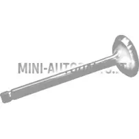 Ieplūdes vārsts Aixam Kubota Z402