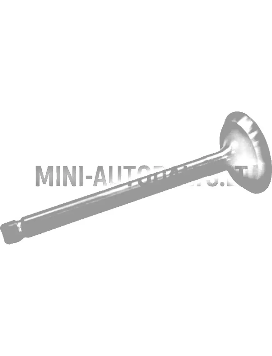 Ieplūdes vārsts Aixam Kubota Z402