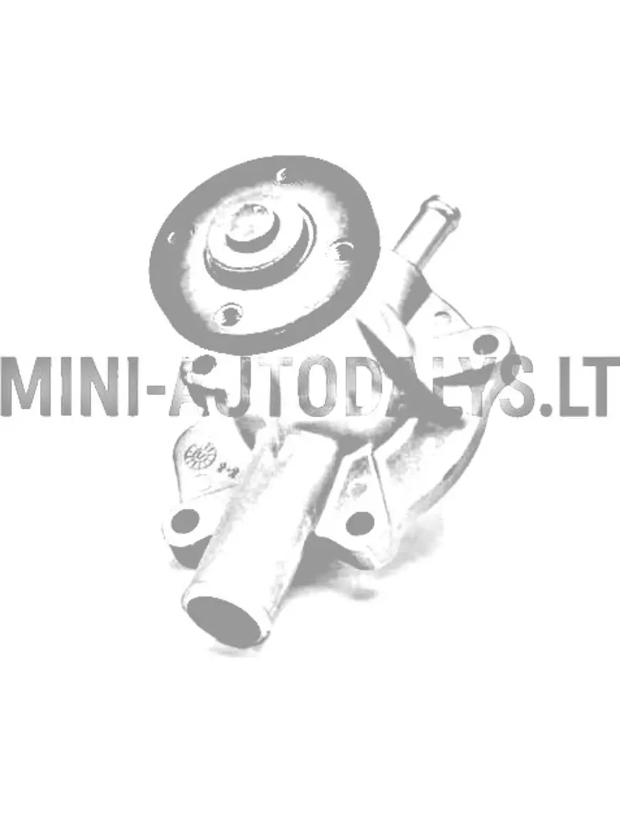 Ūdens sūknis Aixam Kubota Z402 (1. modelis)