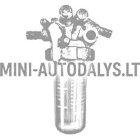 Degvielas filtra komplekts Aixam Kubota Z402