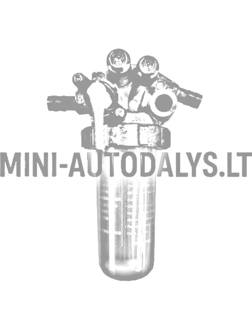 Degvielas filtra komplekts Aixam Kubota Z402