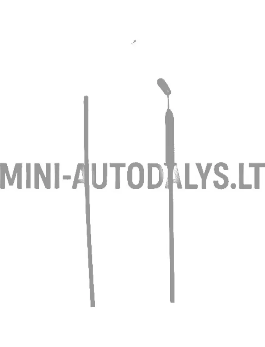 Akceleratora / droseles vārsta trose Ligier Ambra / 162