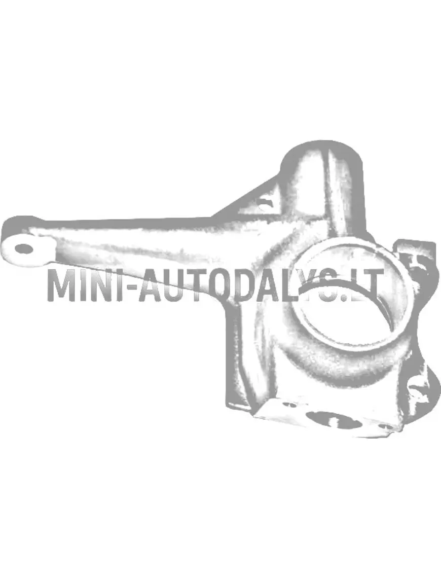Labās puses stūres stieņa šarnīrs Aixam 1997-2010