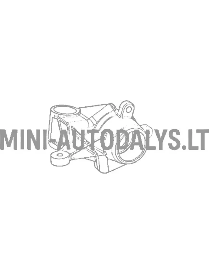 Labās puses stūres stieņa šarnīrs Aixam MEGA 1