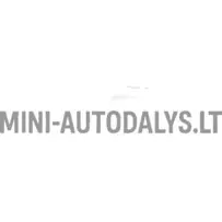 Spoguļa stikls labajā pusē Aixam Impulsion / Vision