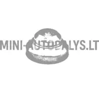 Aixam motora vara atsvars (135 grami)