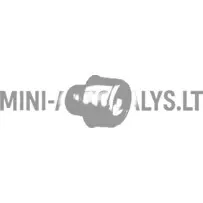 Izplūdes sistēmas daļa Aixam Impulsion Crossover / Coupe