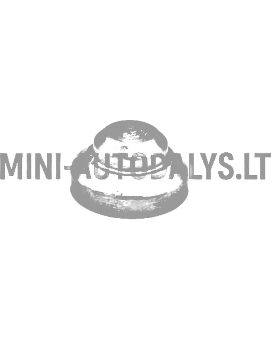 Aixam dzinēja svars (165 grami)