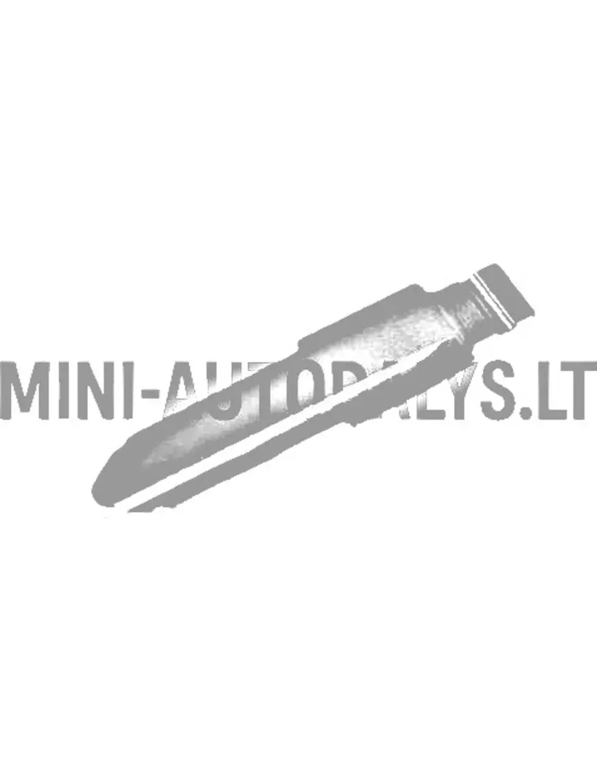 Atslēgas sagatave flipkey Aixam Vision / Sensation / Emotion