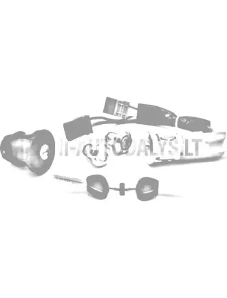 Aizdedzes slēdzenes komplekts Ligier / Microcar / Due (2 atslēgas)