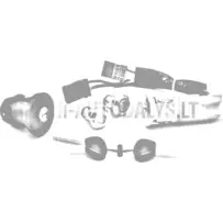 Aizdedzes slēdzenes komplekts Ligier / Microcar / Due (2 atslēgas)