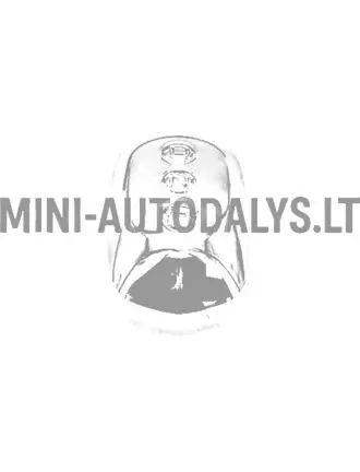 Pārnesumu pārslēga sviras vāciņš Aixam