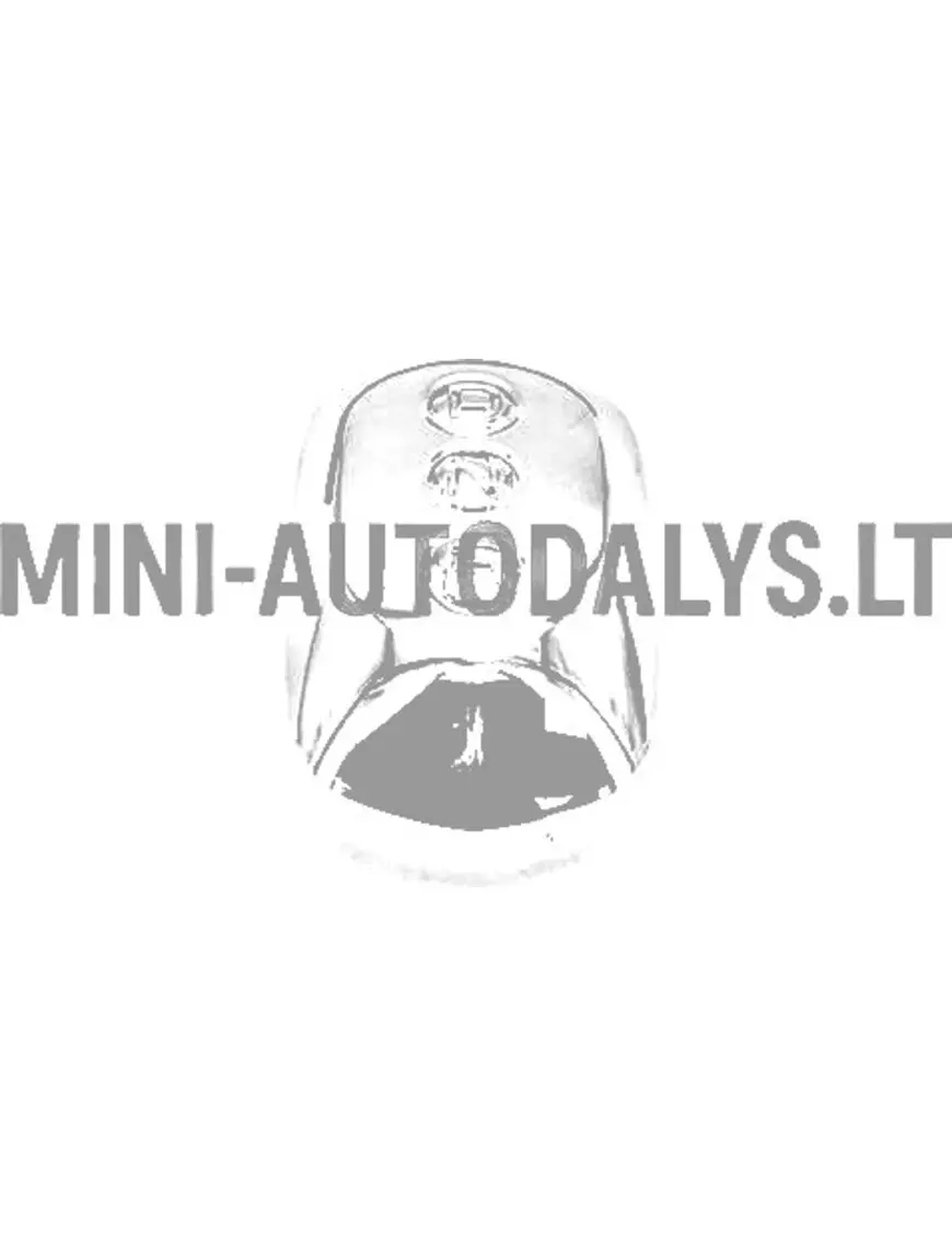 Pārnesumu pārslēga sviras vāciņš Aixam